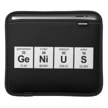 GeNiUS iPad Sleeve