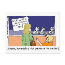 Genome In The Window Funny Dalmatian Gifts & Tees postcards