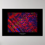 Genome posters