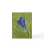 Gentia Blue Notecards