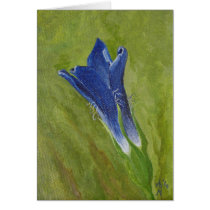 Gentia Blue Notecards cards