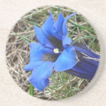 gentian drink coasters