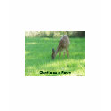 Gentle as a Fawn T-Shirt by JudiTaylor Gentle as a Fawn T-Shirt