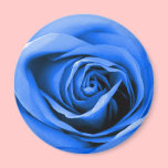 Gentle baby blue rose magnet magnets