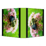 Gentle Collector 3 Ring Binder