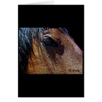 Gentle Eye cards