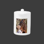 Gentle Giant Horse Photography