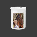 Gentle Giant Horse Photography Drink Pitchers