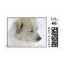 gentle giant postage