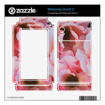 Gentle Pink Rose Blooms - Flower photography skins