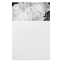 Gentle Roses stationery