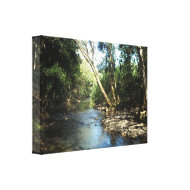 Gentle Stream wrappedcanvas