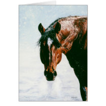 Gentle Strength, by Kim McElroy cards
