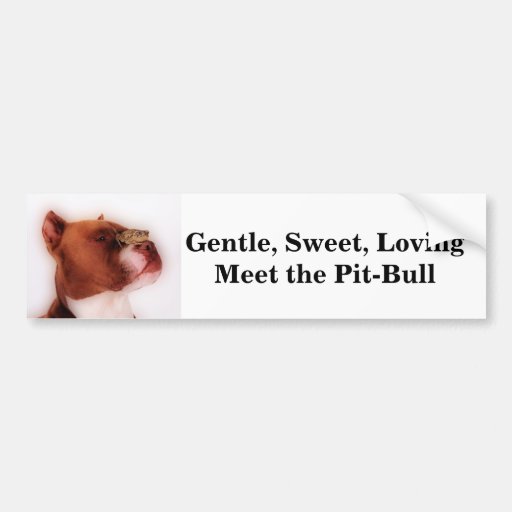 Gentle Sweet Loving Meet The Pit Bull Bumper Sticker Zazzle