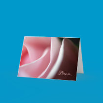 Gentle Touch - Soft Pink Rose Card