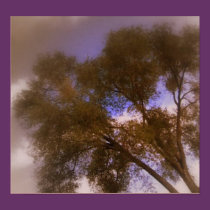 Gentle Tree posters