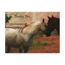 Gentle Whisper... postcards