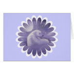 Gentle Winter Polar Bears Cards