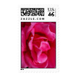 Gentleness Stamp