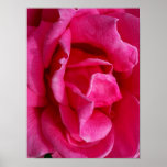 GENTLENESS POSTER