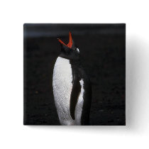 Gentoo Penguin Button