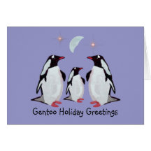 Gentoo Penguin Greetings Card