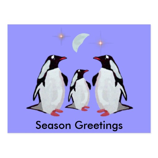 Gentoo Penguin Greetings Postcards