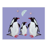 Gentoo Penguin Greetings Postcards