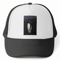 Gentoo Penguin Trucker Hat