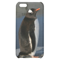 Gentoo Penguin iPhone 5C Case