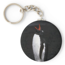 Gentoo Penguin Keychains