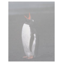 Gentoo Penguin Letterhead