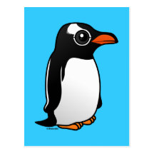 Gentoo Penguin Post Card