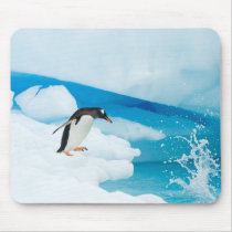 gentoo penguin, Pygoscelis Papua, jumping off an