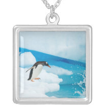 gentoo penguin, Pygoscelis Papua, jumping off an Custom Jewelry