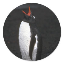 Gentoo Penguin Sticker
