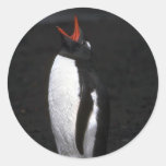 Gentoo Penguin Sticker