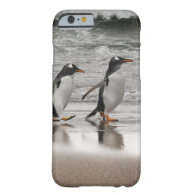 Gentoos on the beach barely there iPhone 6 case