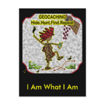 Geocachnig Hide Hunt Find Post Card