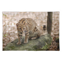 geoffroy-cat-001 placemats
