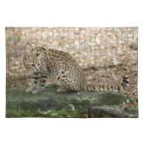 geoffroy-cat-002 placemats