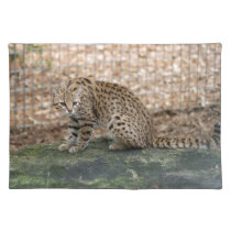 geoffroy-cat-003 placemats