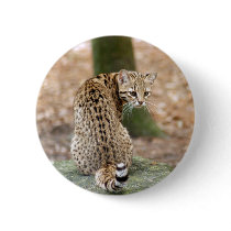 geoffroy-cat-004 buttons