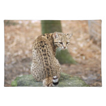geoffroy-cat-004 placemats