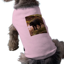Geoffroy Cat-005 pet clothing
