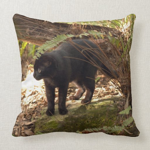 geoffroy-cat-005 pillows