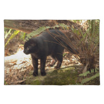 geoffroy-cat-005 placemats