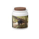 geoffroy-cat-006 candy dishes