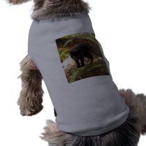 geoffroy-cat-006 pet clothing by BCRcats geoffroy-cat-006 pet clothing