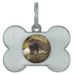 geoffroy-cat-006 placas de mascota
